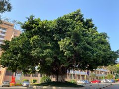 -福建师范大学(仓山校区)