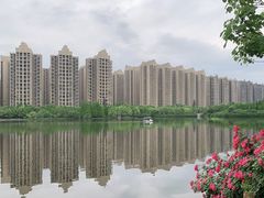 -成都南湖公园