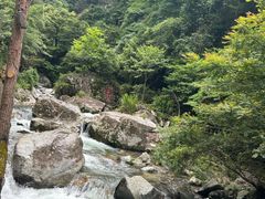 -炎陵县神农谷国家森林公园