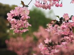 -印象莫奈时光映迹艺术展