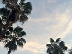-深圳湾公园(南山区)
