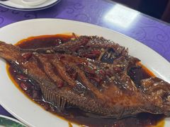 -林之六八·6886大连老菜馆