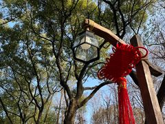 -上海共青森林公园