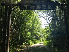 -海南热带野生动植物园