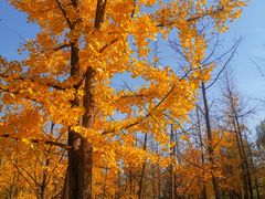 -大明宫国家遗址公园·御道广场