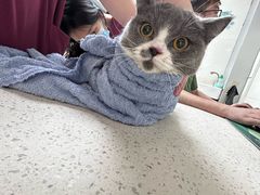 -瑞鹏·疫苗·绝育·宠物医院(金沙洲店)