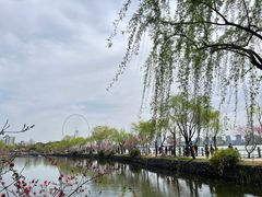 -无锡蠡湖国家湿地公园-蠡园