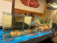 -蟹道乐(京都本店)