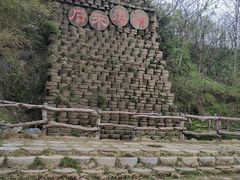 -千年银杏谷文化旅游区