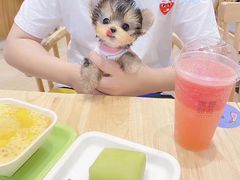 -Double Rui宠物酒店