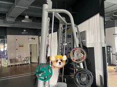 -恒之健私人定制健身(成山店)