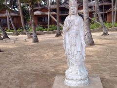 iphone_upload_pic-东郊椰林