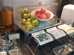 -虹桥机场国航贵宾室v8