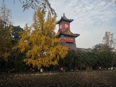 -四川大学(华西校区)