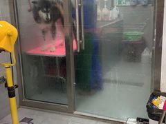 -宠福鑫康馨动物医院·骨科·眼科