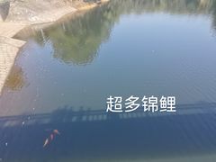 -云味馆米线(红花湖店)