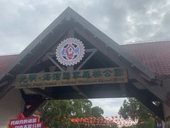 -上海海湾国家森林公园