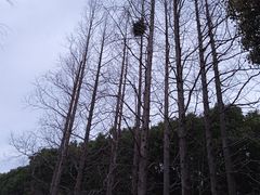 -嘉北郊野公园