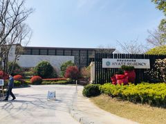 -上海崇明金茂凯悦酒店
