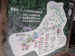 -野象谷景区