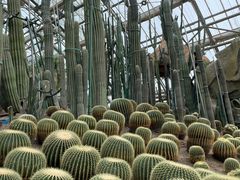 -南山植物园