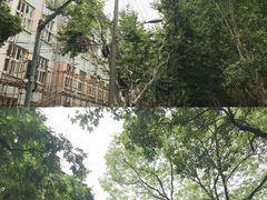 -栖露营camping·天幕烧烤·团建拓展·采摘营地