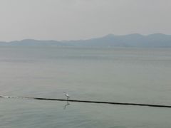 -古尚锦酒楼·水上餐厅