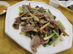 沙姜猪俐-姚林轩