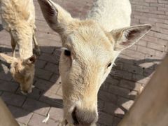 -水上乐园·欢乐世界