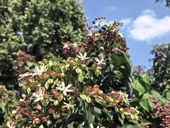 -国家植物园南园