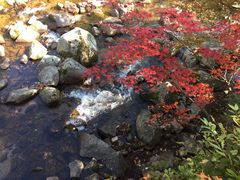 -丹东天桥沟景区