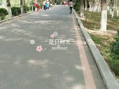 -丁香湖公园