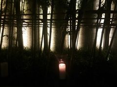 android_upload_pic-上海璞麗酒店