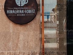 -喜马拉雅森HIMALAYAN FOREST