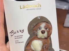 -Laderach 莱德拉(上海环贸iapm店)