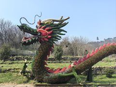 -巢湖姥山岛