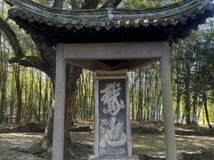 -兰亭风景区