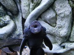 -上海海洋水族馆