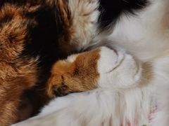 -吉野家(567漫天地店)