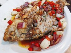 -老梅园大虾城(河西店)