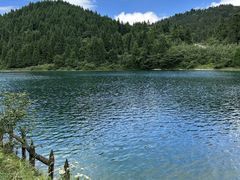 -武陵山森林公园