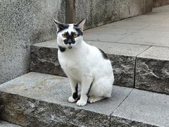 -江记甜品(罗湖店)