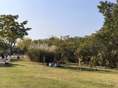 -盘龙城国家考古遗址公园