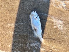-南澳海滩