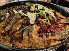 -老板恋上鱼(振华商厦店)