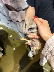 -Zoolung Zoolung动物主题公园(海信广场店)