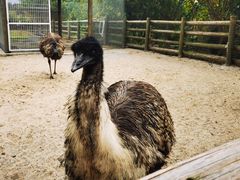 -苏州太湖西山岛开心农场