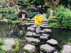 -西湖外事游船(花港观鱼码头)