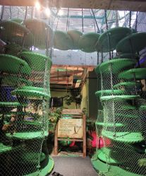 -恐龙探索乐园(磁器口店)