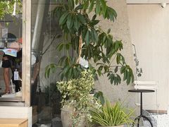 -喜茶(珠海华发商都店)